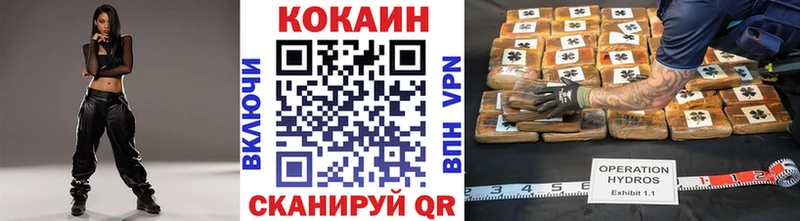 COCAIN FishScale  Купить закладки  Вытегра 