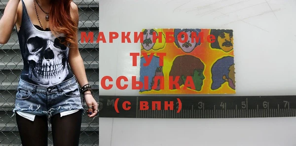 mix Богородицк