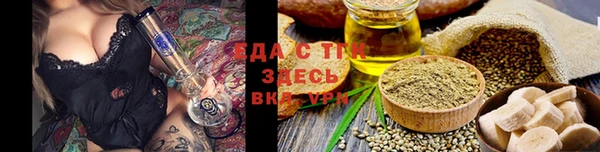 mix Богородицк