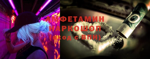 индика Богданович