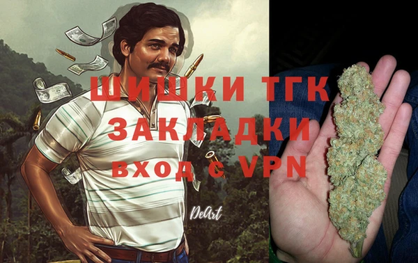 mix Богородицк
