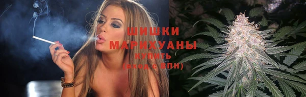 mix Богородицк