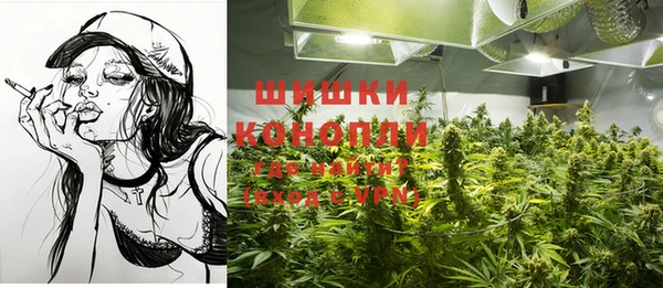индика Богданович
