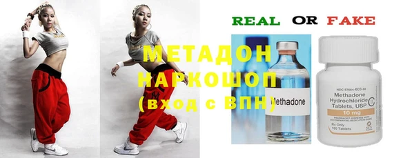 индика Богданович