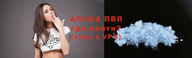 индика Богданович