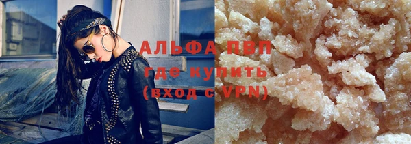 индика Богданович