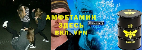 индика Богданович