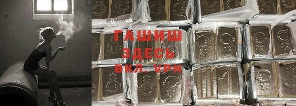 индика Богданович