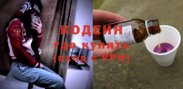 индика Богданович