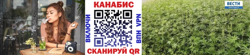 МАРИХУАНА планчик  Купить  Вытегра 